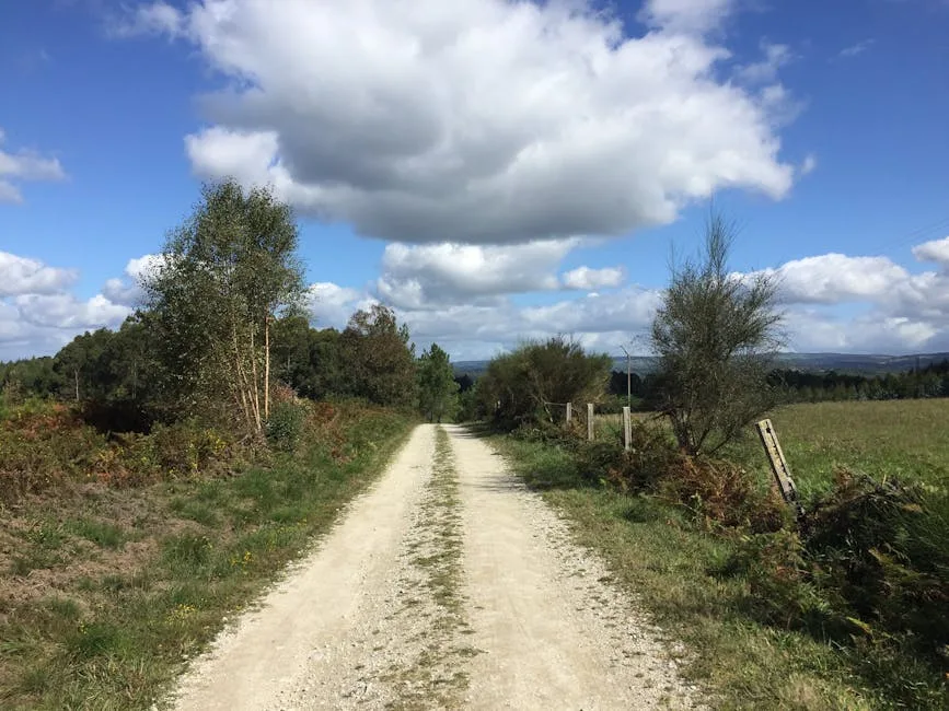 Der Synodale Weg: Reformen in der deutschen Kirche