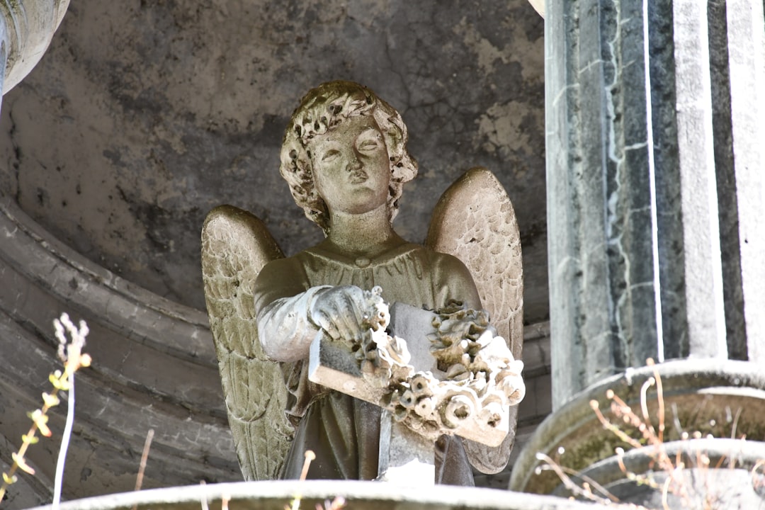 Lors de l'Angélus, le Pape invite à libérer nos cœurs du matérialisme et de la violence