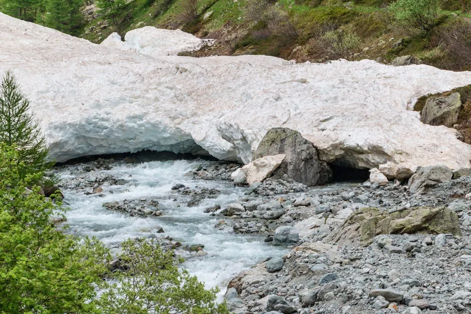 Liderazgo Femenino en la Iglesia: Sor Simona Brambilla Integra el Dicasterio para los Obispos