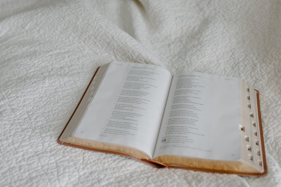 Umweltfürsorge: Eine christliche Perspektive auf die Schöpfung