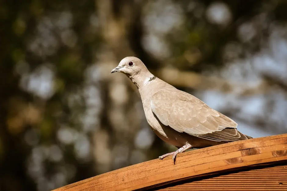 Reconstruire la Confiance: Les Fondements Spirituels de la Paix Durable