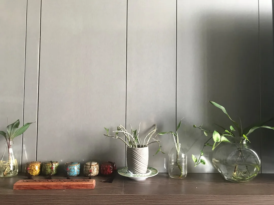 Building Healthy Small Groups