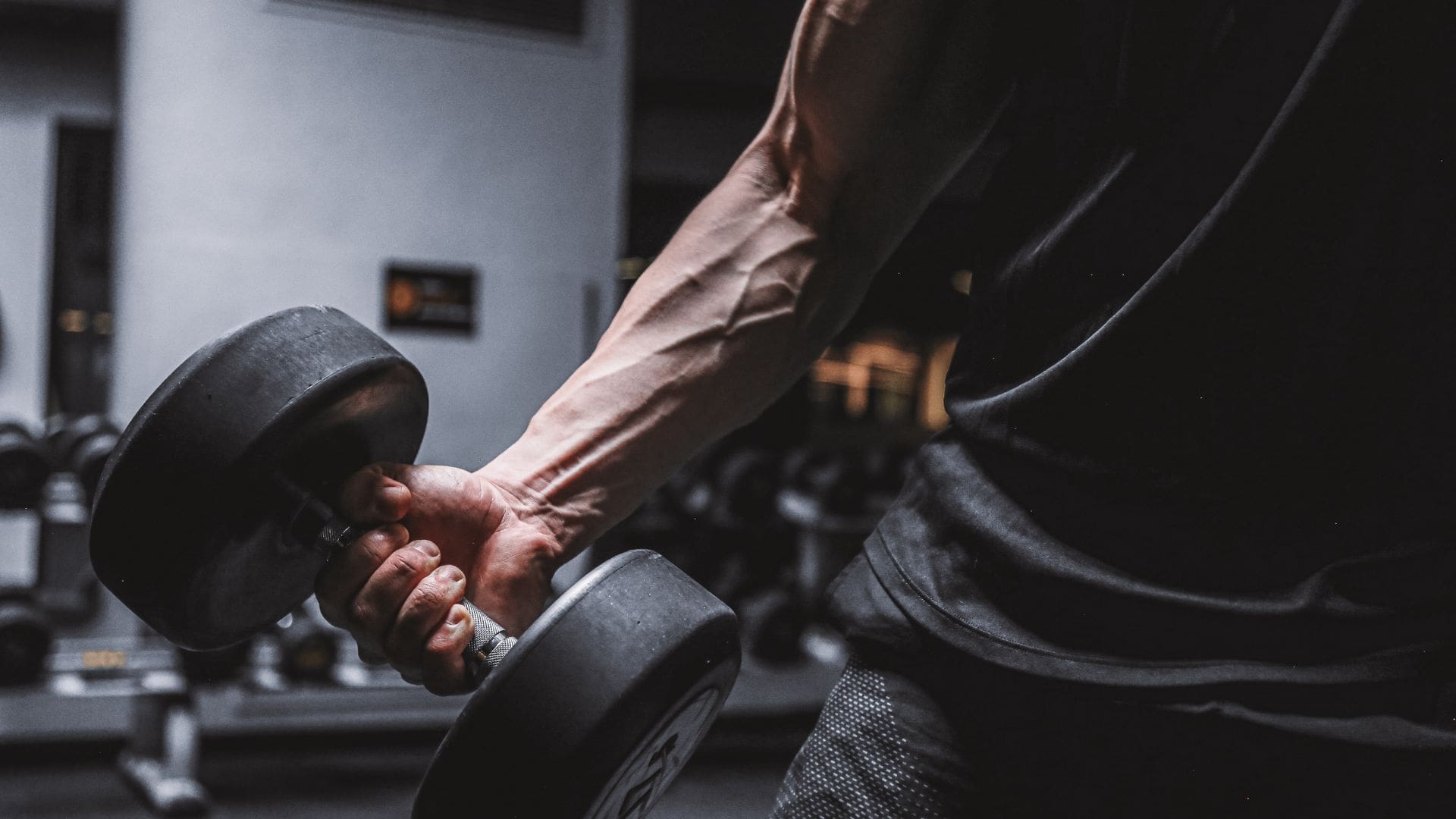 Quel est le but de la longévité ?