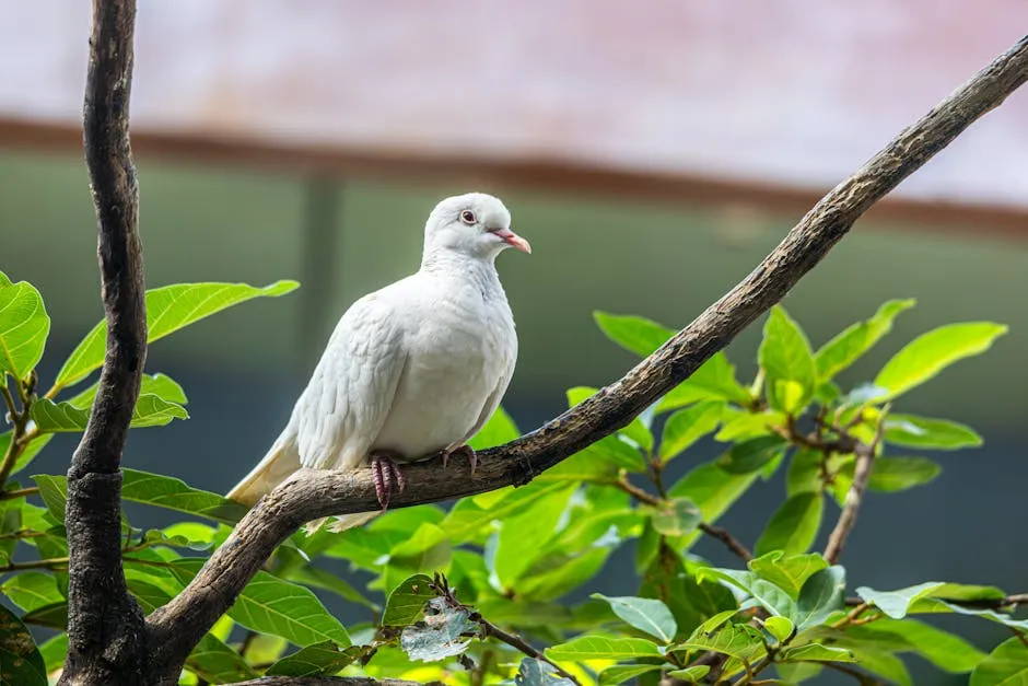 Buscando la Paz Verdadera en un Mundo Acelerado