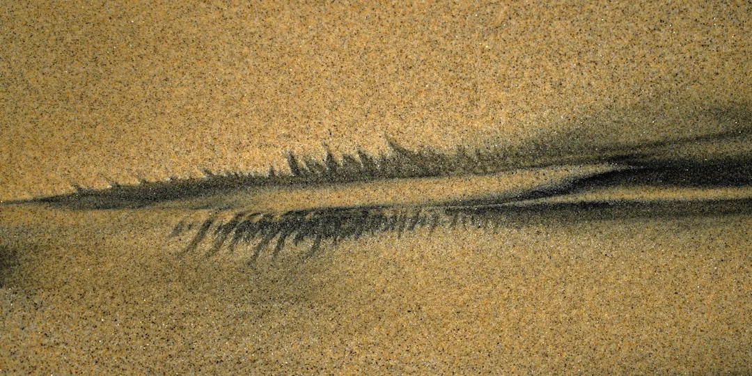 Lusofonias – África na rota de Leão XIV