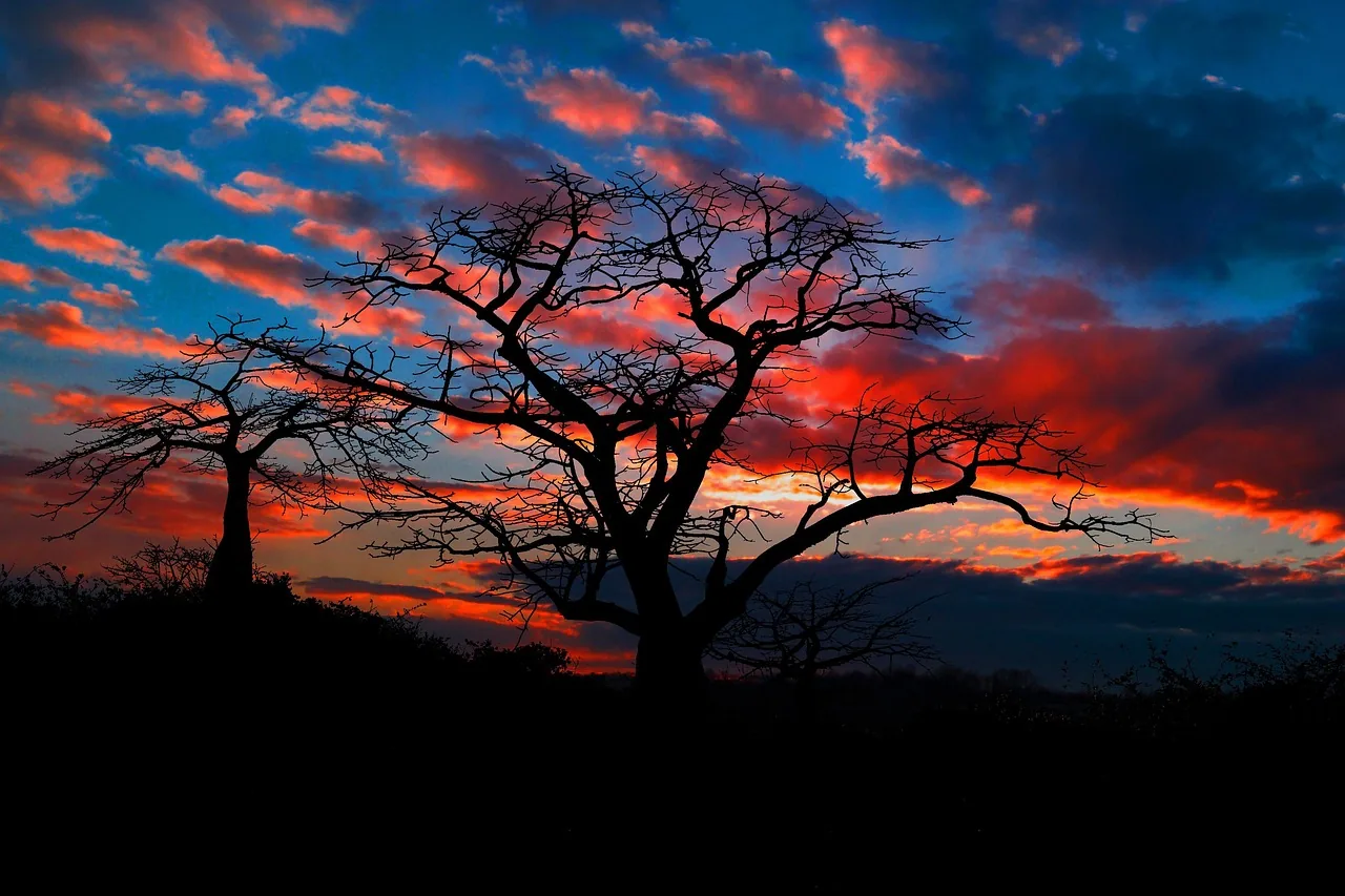 L'Angola dévoile son logo et sa devise pour la visite du Pape