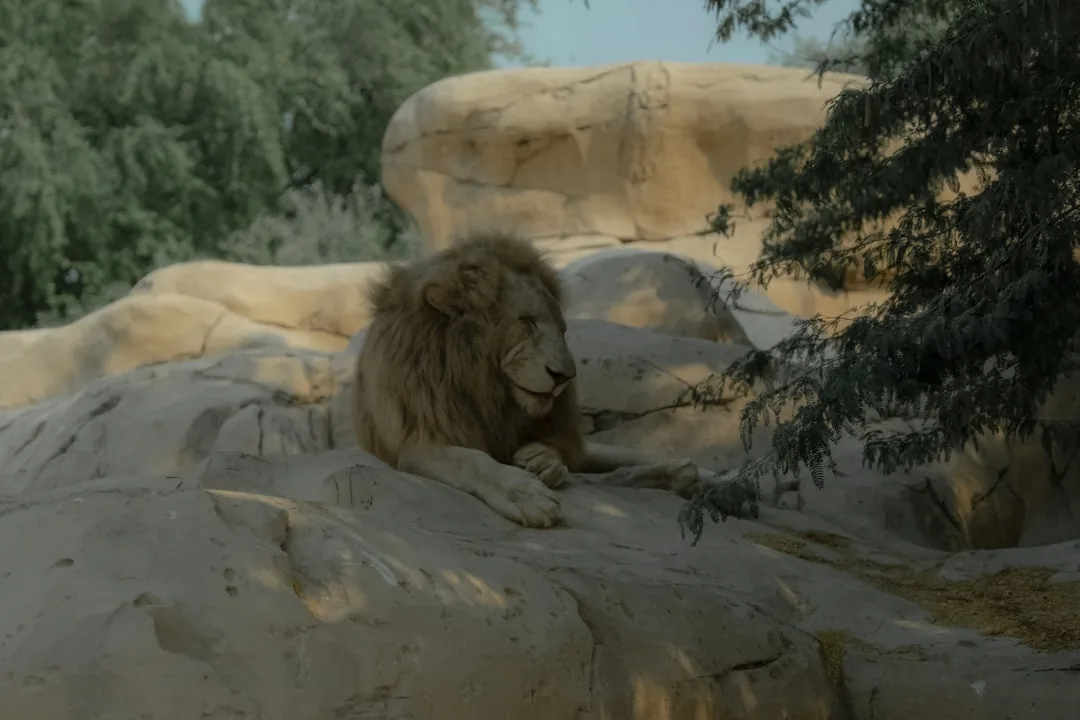 „Versöhnung ohne Vergessen“: Leon Weintraub erhält Göttinger Friedenspreis