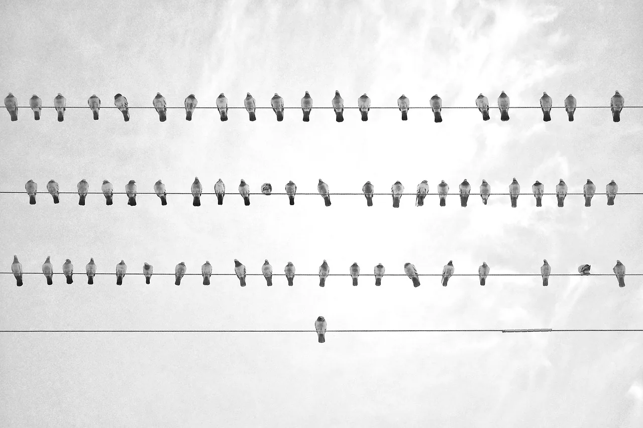 Eintritt in Kölner Dom: Ein Modell für andere Kirchen?