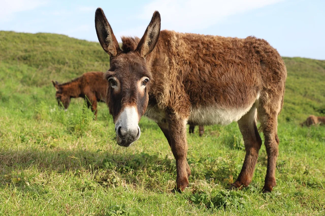 Au cœur du Parlement français, le pasteur Thierry Le Gall poursuit sa mission depuis 10 ans