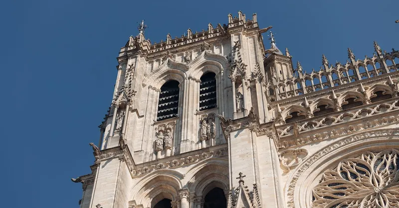 Nueva serie | Libros | Primeros Pasos