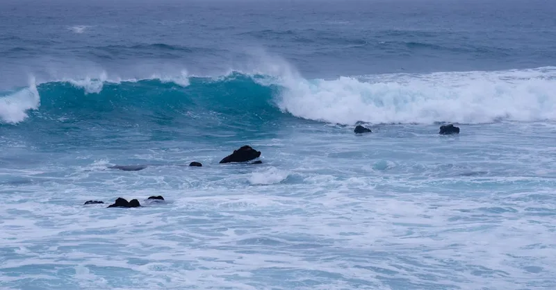 ¿Qué es la disciplina de la Iglesia? | Chat Pastoral