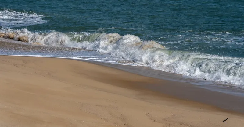 Del cónclave al Super Bowl, la coincidencia que saca una sonrisa