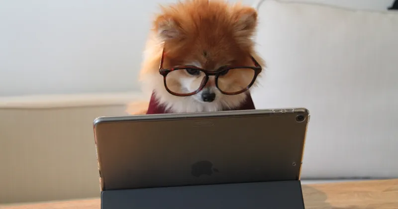 FEREDE activa su protocolo interno ante una denuncia por abusos sexuales en una iglesia de Barcelona