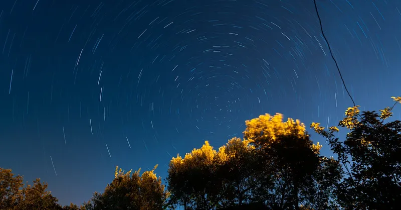 La naturaleza singular de la hombría