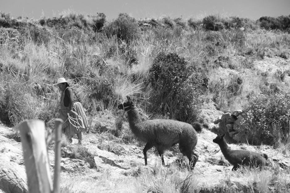 Encontre a Paz Interior: Como a Fé Transforma Sua Vida Diária