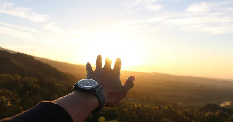 ¿Tu mascota tiene un santo patrono? Descúbrelo aquí