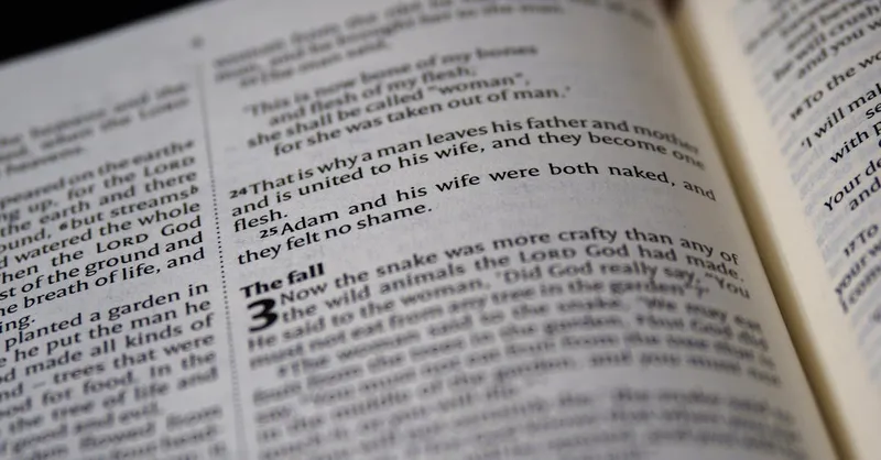 Nueva residencia del Papa al estilo Robert Prevost