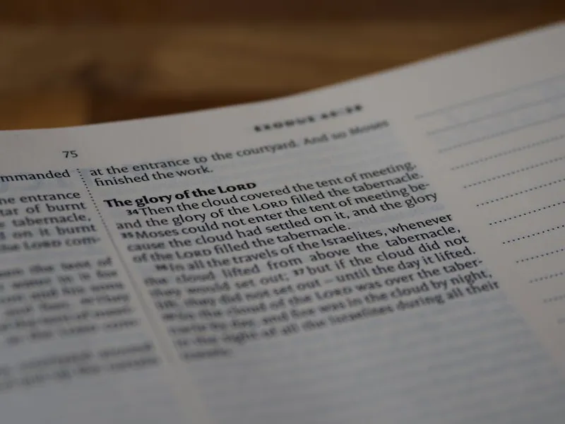 El Doble Éxodo: Cuando la Esperanza de Retorno se Convierte en Nueva Huida