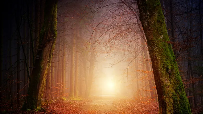 Fantasía y fe: Navegando la magia ficticia con discernimiento bíblico