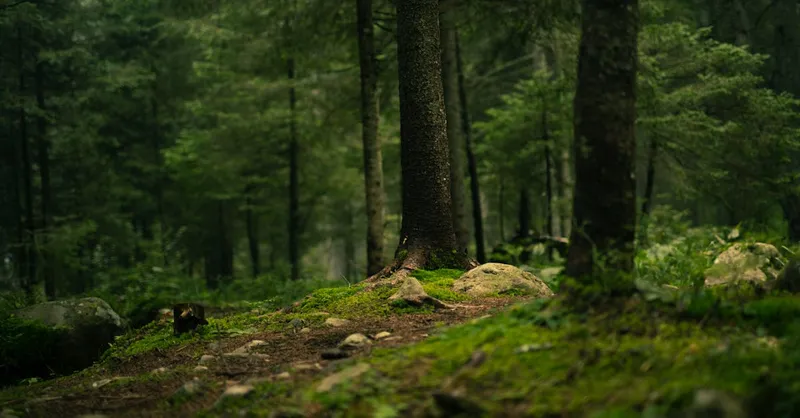 Revista 9Marcas #5 | Volvamos al Evangelio | Nota del Editor